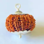 Nepali 14 Mukhi Rudraksha